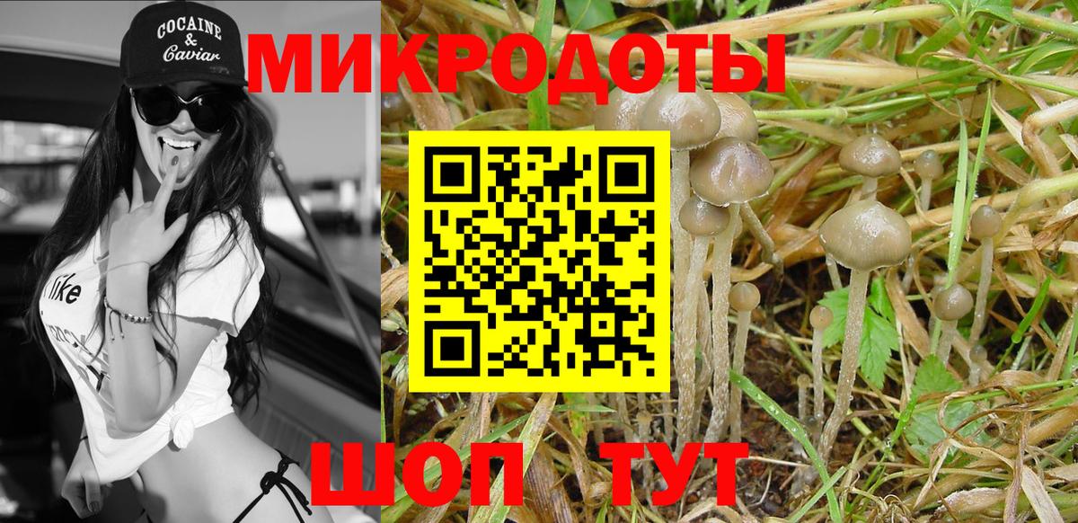 Михайловка  Галлюциногенные грибы прущие грибы  Вход с VPN  Псилоцибиновые грибы мухоморы 